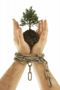 break the chains - grow your business